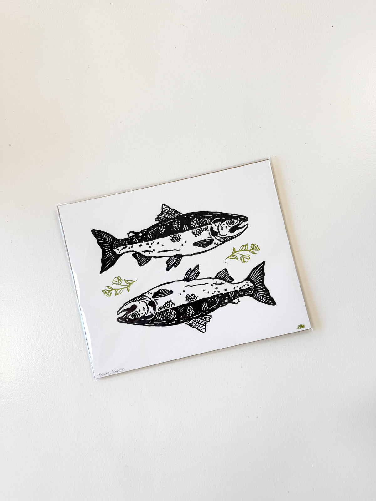 Atlantic Salmon Print
