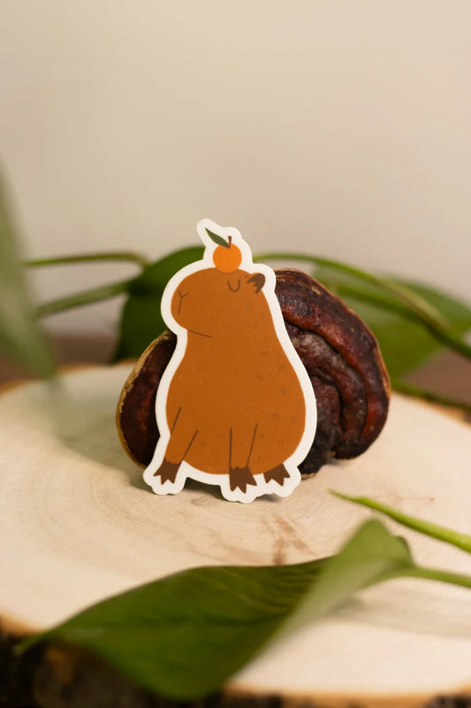 Capybara and Orange Sticker