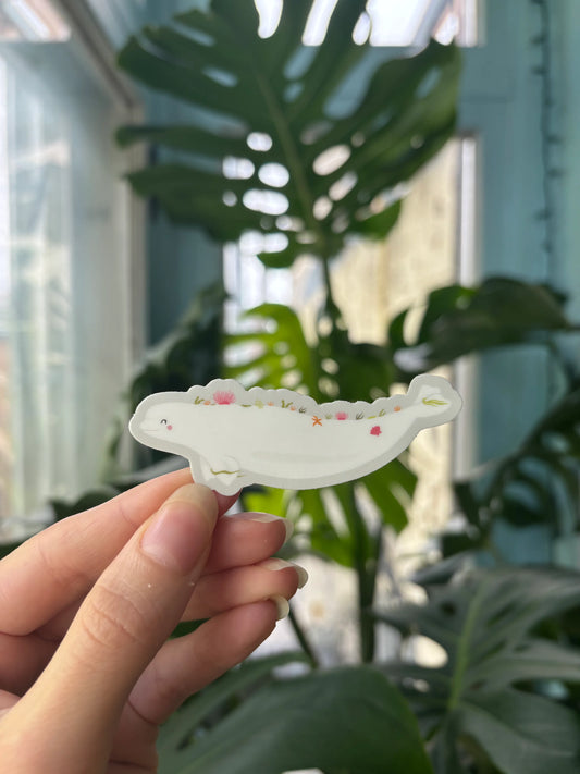Beluga of the Saint-Laurent Sticker