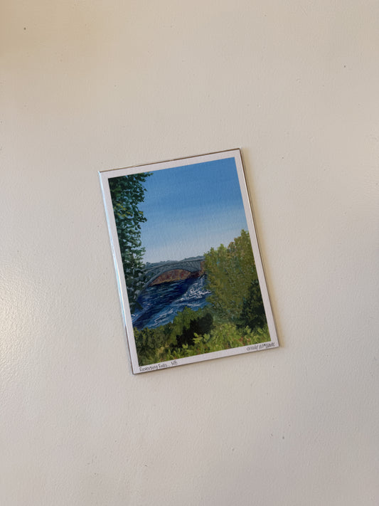 Reversing Falls Print