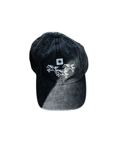 Chevaux de Feu Cap