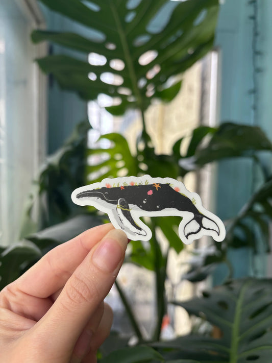 Humpback Whale Sticker