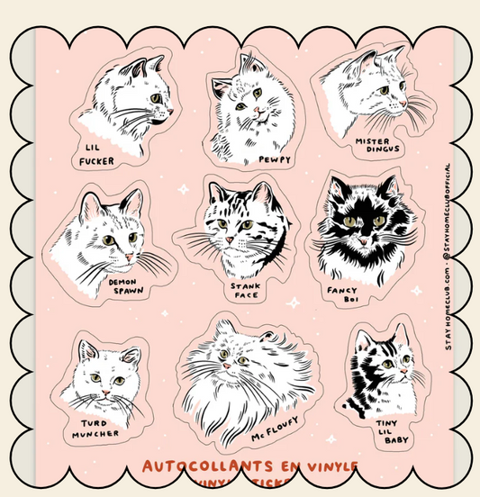 Names For Cats Mega Sticker Sheet