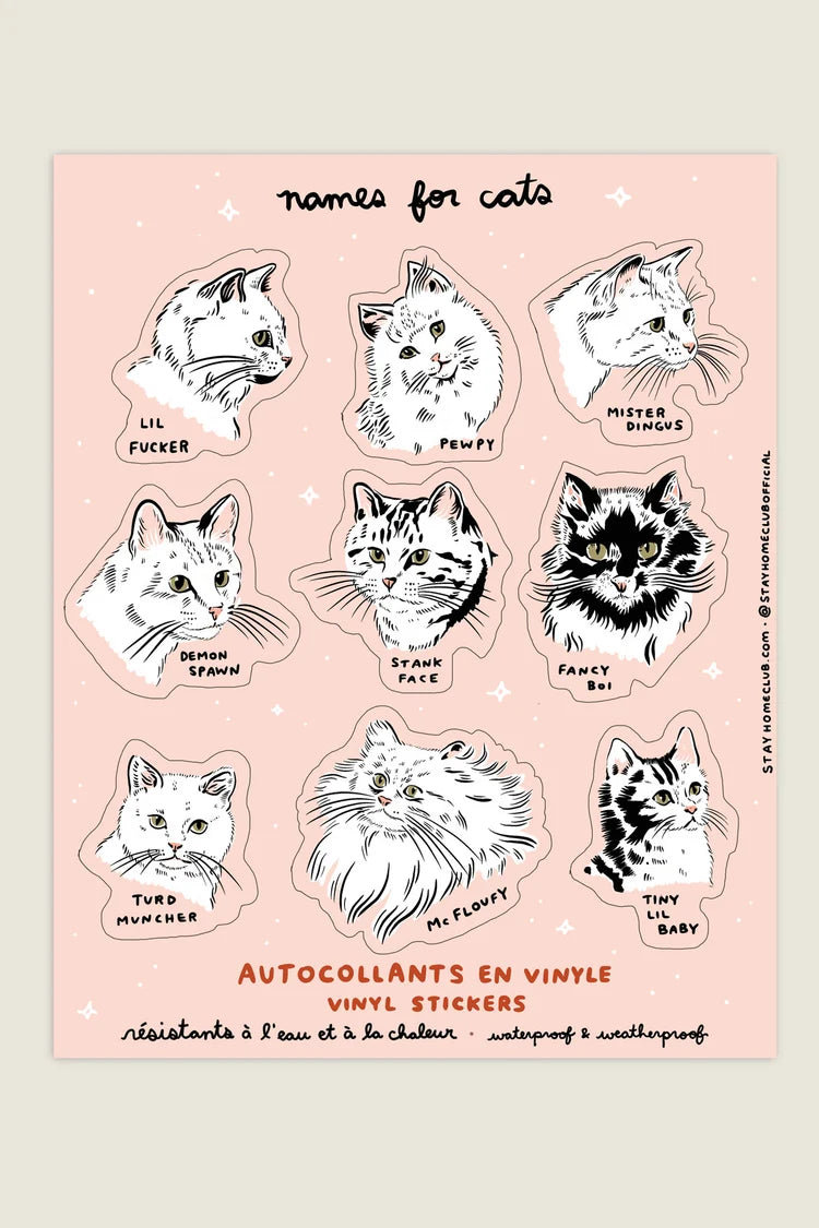 Names For Cats Mega Sticker Sheet