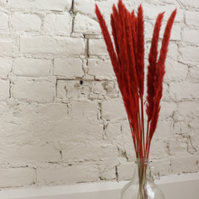 Load image into Gallery viewer, Holiday Mini Pampas
