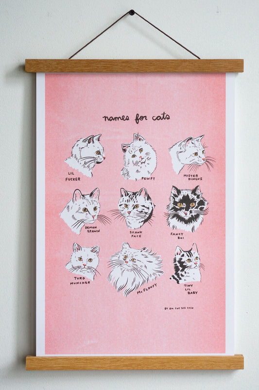 Names for Cats Riso Print